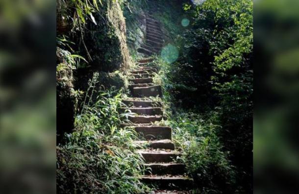 Se demoró 50 años en hacer esta escalera con más de 6000 peldaños y todo por amor